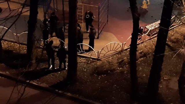 Полиция на детской площадке Борисовский проезд, д.12,к.1(2) смотреть онлайн