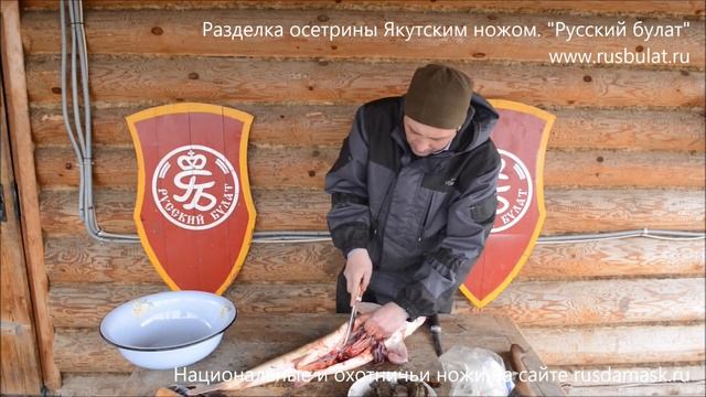 Разделка осетрины Якутским ножом. Компания Русский булат. смотреть онлайн