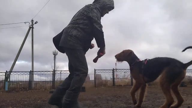 Защита. Дина. Стоп рука 2. смотреть онлайн