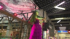 Электро скрипачка - концерт в ТЦ