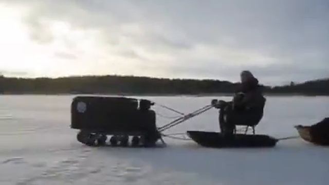 Я на Рексе.mp4 смотреть онлайн