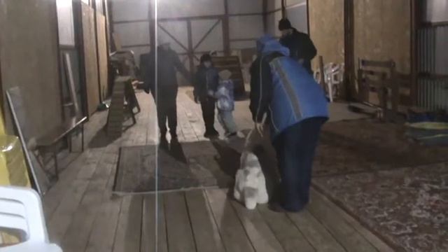 Дрессировка в Ярославле. Дети и собака. смотреть онлайн