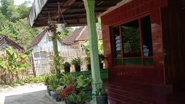 rural life in Java beautiful mountain village II Desa life in java village II Java real village смотреть онлайн