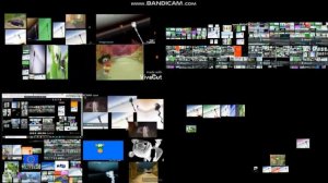 Too Many Gummy Bears^8