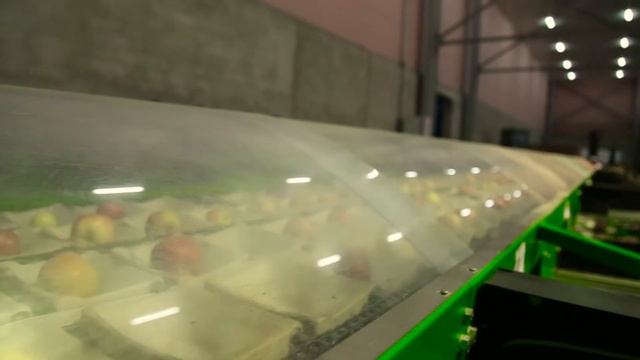 Soyuz Agro Contract LLC - Gusar Apples