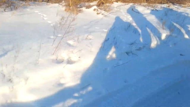 на дровнях (санях) по снегу смотреть онлайн