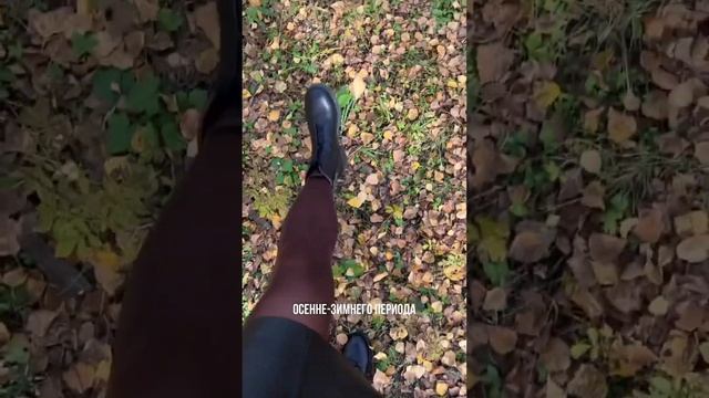 Что делать с изменением состояния кожи в осенне зимний период? смотреть онлайн