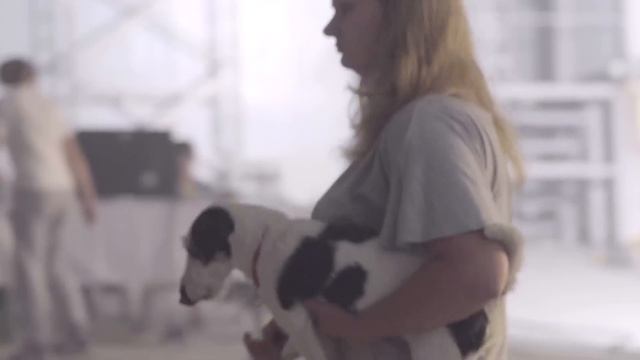 tutti.ch - Hund - Making of - TV Spot - 2015 смотреть онлайн