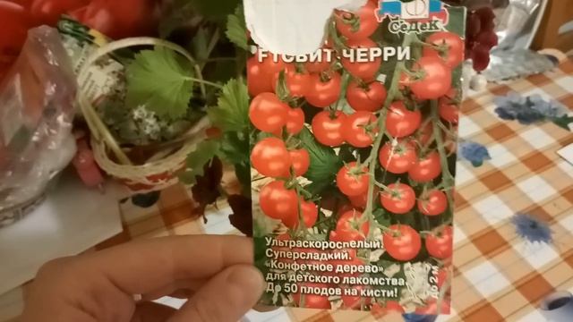 ОБЗОР СОРТОВ ТОМАТОВ НА 2020 год. УРАЛ! смотреть онлайн