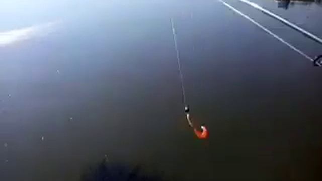 Маленькие сомики Липовец Винницкая обл смотреть онлайн