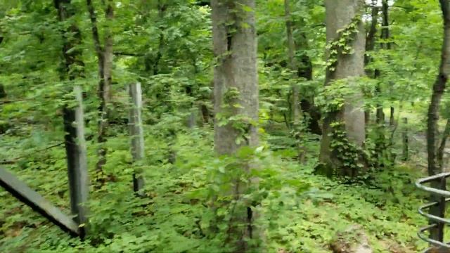 Train of the Bronx Zoo New York 2018 (full ride) смотреть онлайн