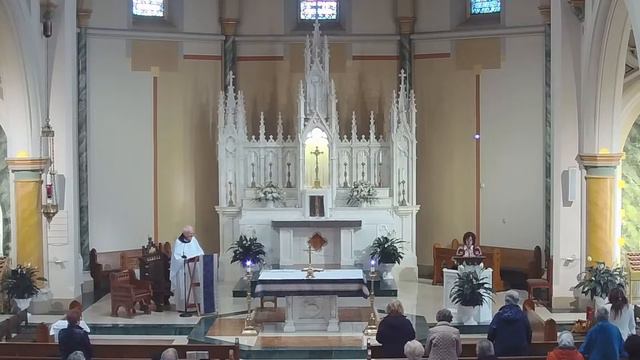 Memorial of Blessed John Duns Scotus - November 8, 2023 смотреть онлайн