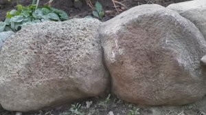 Как сделать бордюры для клумбы? Как обновить запущенную клумбу?