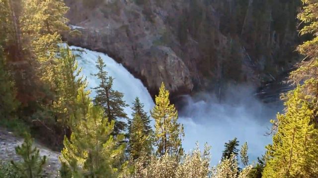 Roe deer near Upper Falls in the Yellowstone Park / Косуля возле Верхнего Водопада в Йеллоустоун смотреть онлайн