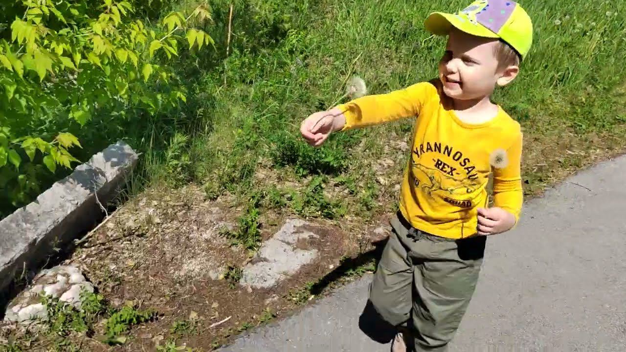 Солнечная прогулка 25.06.23