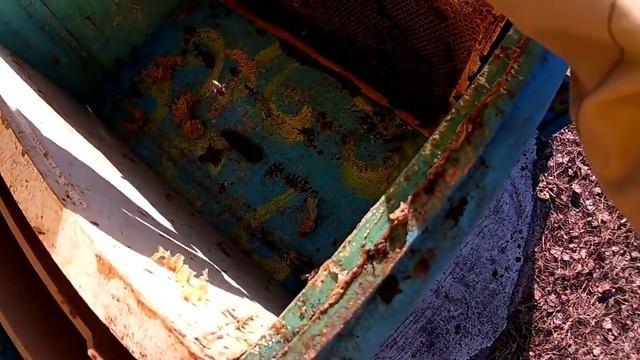 Весенний осмотр пчел смотреть онлайн