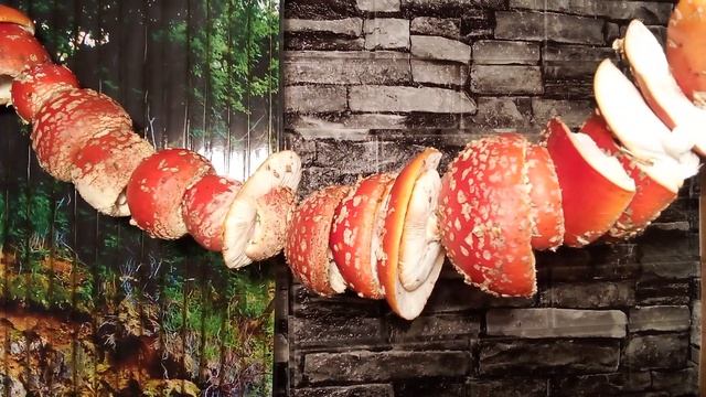 Сушка грибов смотреть онлайн