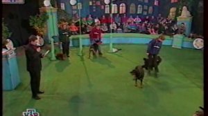 Дог-шоу 1998 год