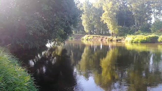 Рыбалка в Павловском посаде на фидер 17 августа 2020год смотреть онлайн