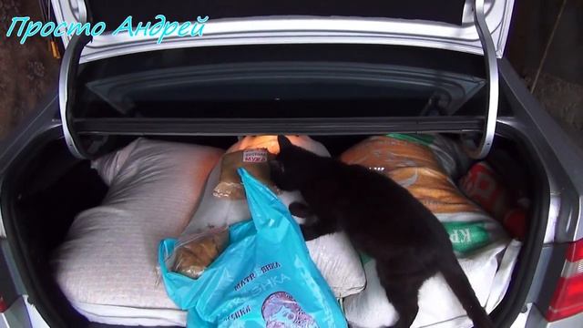 ПОКУПКА ЗЕРНА ДЛЯ НУТРИЙ СОСТАВ ЦЕНА КОЛИЧЕСТВО смотреть онлайн