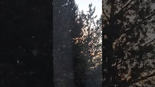 27 января 2020 г. смотреть онлайн