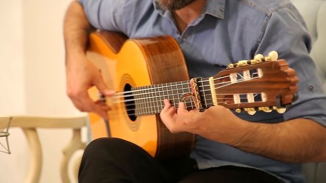 Alegria Labarosa _ Paco Delucia / Guitar: PezhmanNoor смотреть онлайн