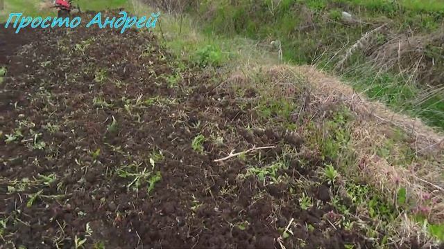культивация огорода и посадка кабачков смотреть онлайн