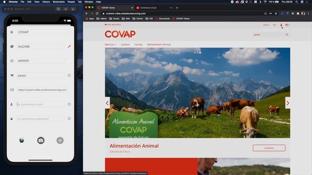 Cauldron iOS Demo смотреть онлайн