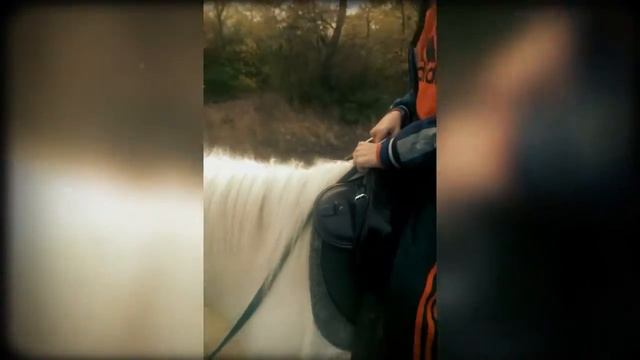 Я на Красавчике