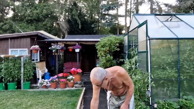 "Дачный сезон-2 (урожай)) Чеснок выкопали ,Ежевика радует... смотреть онлайн