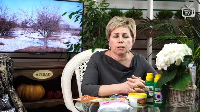 Обработка сада весной ? БИО препараты и народные средства ? Обзор HITSAD TV смотреть онлайн