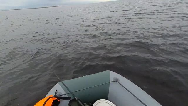 Рыбалка в самоизоляции 2020 смотреть онлайн