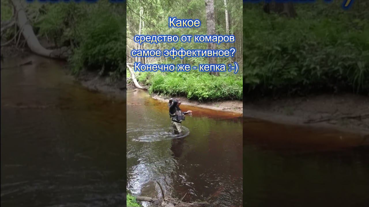 Самое эффективное средство от комаров!!! смотреть онлайн