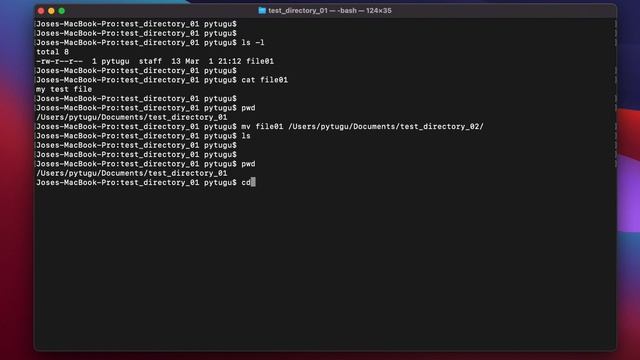 Mac OS Terminal - mv смотреть онлайн