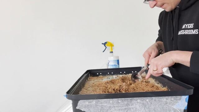 Porcini cultivation update and King Stropharia update (2 weeks) смотреть онлайн