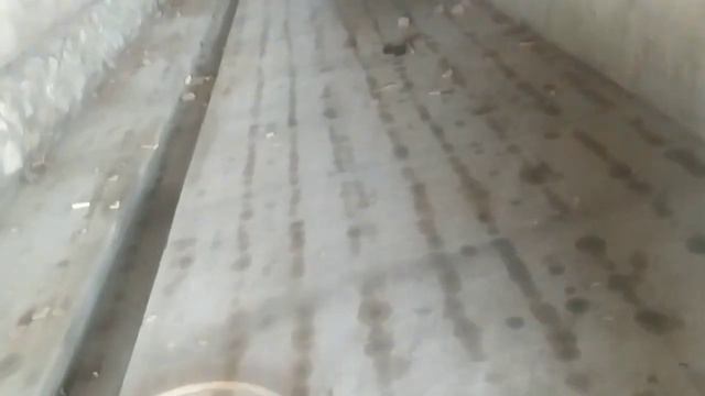 Проекти огул барои буқа парварӣ.🦌🐂👍 смотреть онлайн