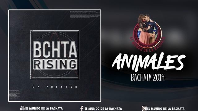 SP Polanco - Animales (feat. Alejandra Feliz) - #BACHATA 2019 смотреть онлайн