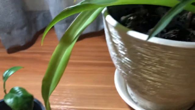 Ошибки которые делают очень часто !!! Посмотри все видео на канале и подпишись ?? смотреть онлайн