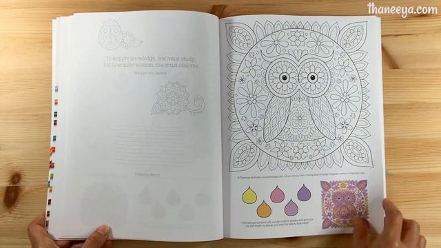 Groovy Owls Coloring Book Flip-Through смотреть онлайн