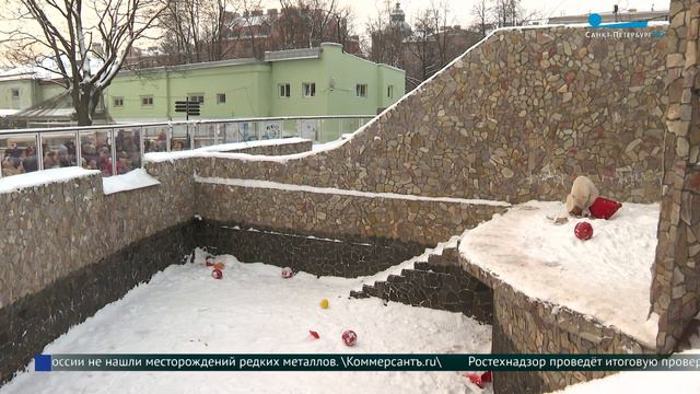 День рождения Хаарчааны смотреть онлайн