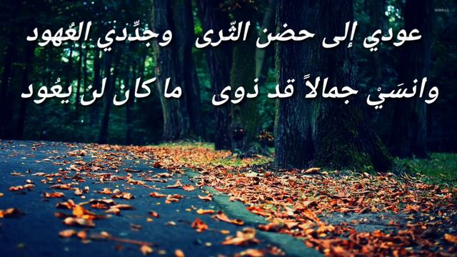 قصيدة تناثري تناثري للشاعر مخائيل نعيمة смотреть онлайн
