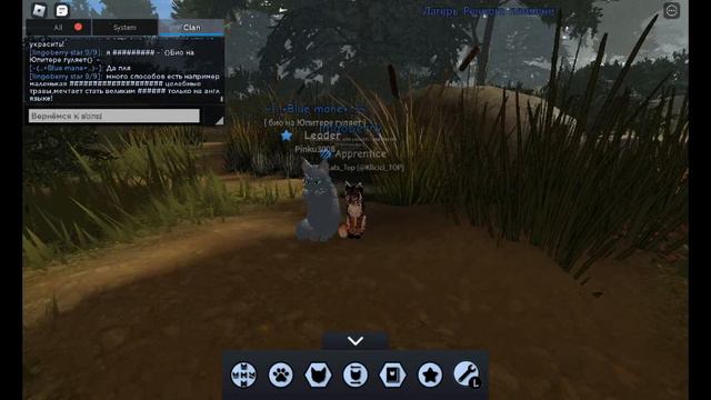 Как правильно писать био и имя!)