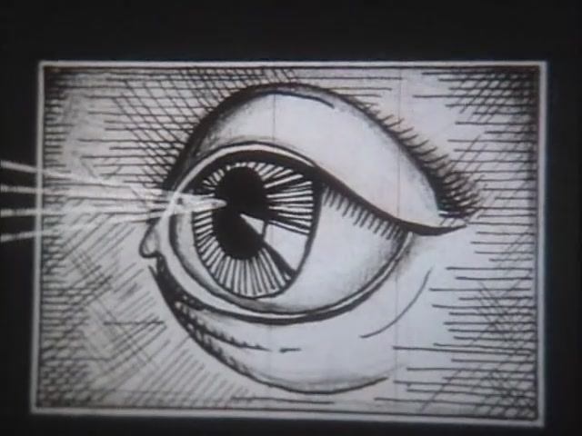 Физиология человека. Труд и отдых