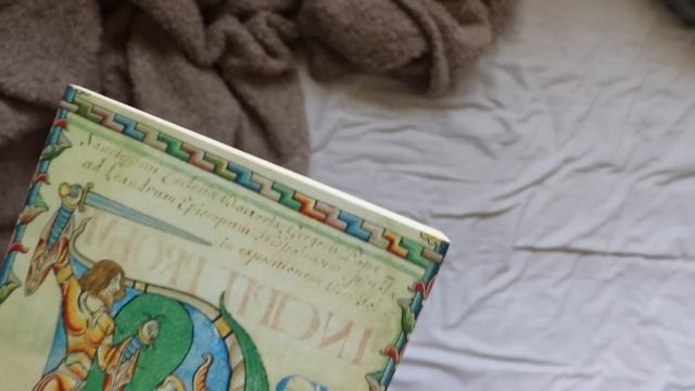 My Mythology & Folklore Collection // Mini Bookshelf Tour | 60+ Books смотреть онлайн