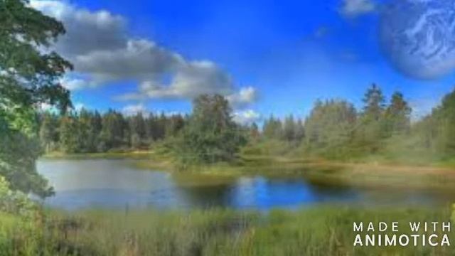 Шум дождя. смотреть онлайн