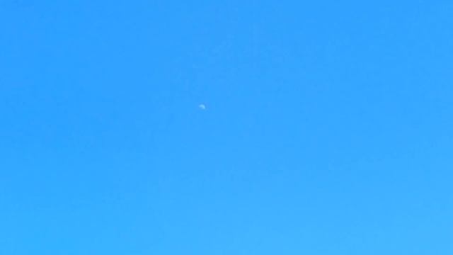 ВЛОГ ИЗ ТАШКЕНТА|#uzbekistan #узбекистан #узбекистанроссия #ташкент #ozbek #toshkent #uzbek #влог смотреть онлайн