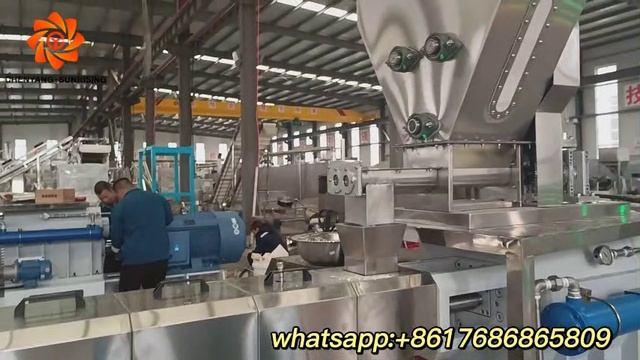 Fortified FRK Artificial Rice Extruder Machine Line Equipment Chenyang смотреть онлайн