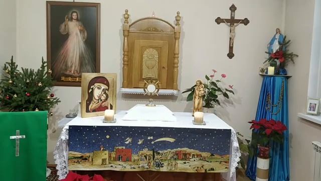 ПОНЕДЕЛЬНИК (09.01.2023). Венчик Божьему Милосердию. Святой Розарий смотреть онлайн