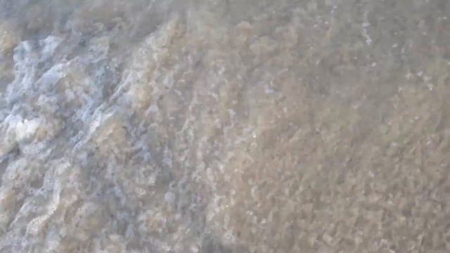 Море 2019 смотреть онлайн