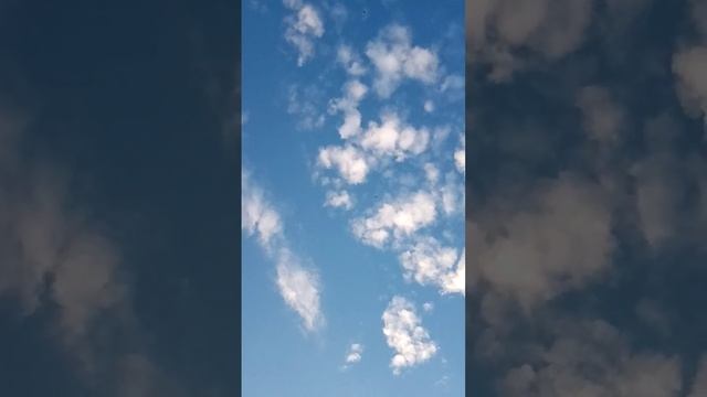 вечерняя разминка. смотреть онлайн